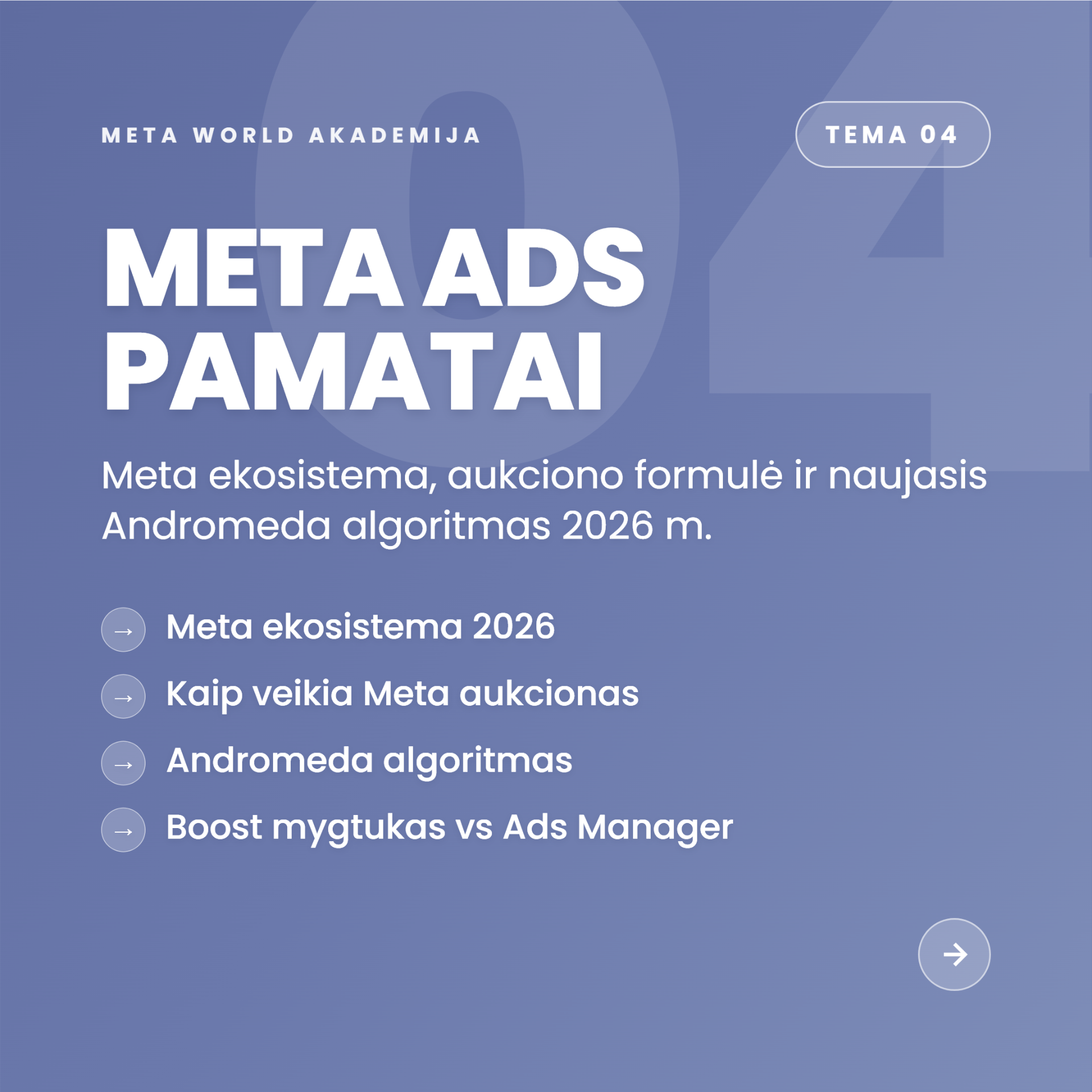 Tema 04 — Meta Ads pamatai ir Andromeda algoritmas