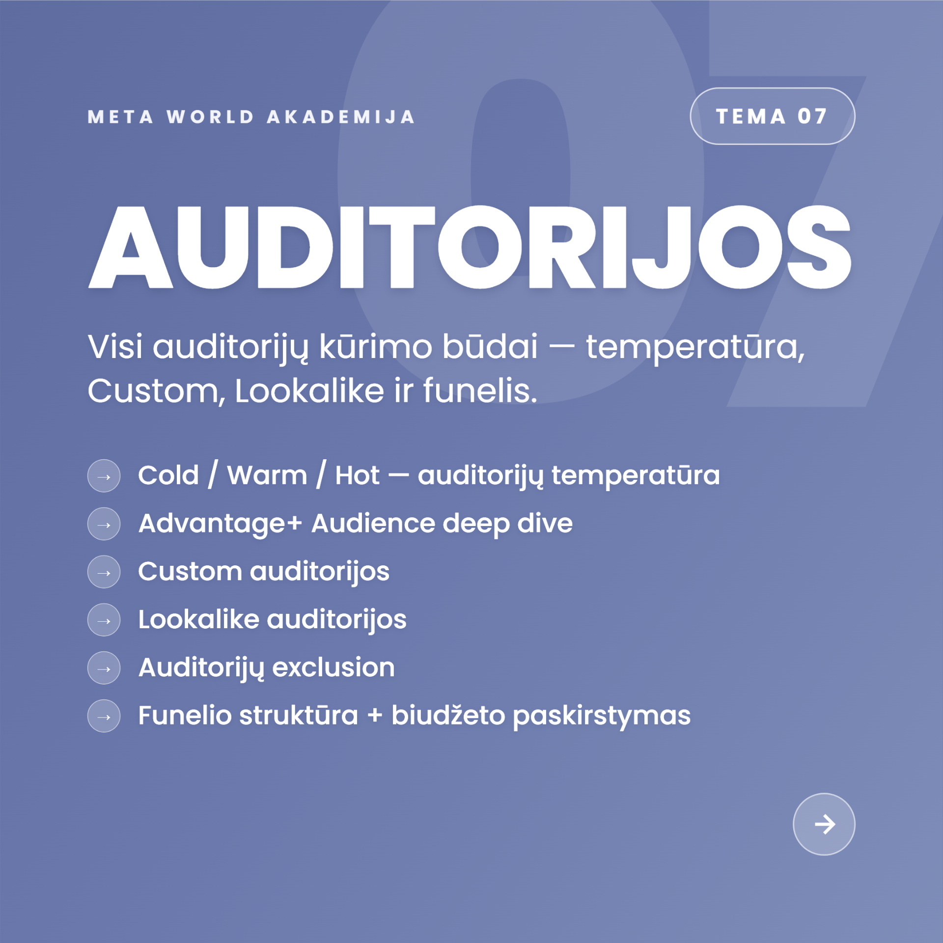 Tema 07 — Auditorijos: Cold, Warm, Hot, Custom, Lookalike