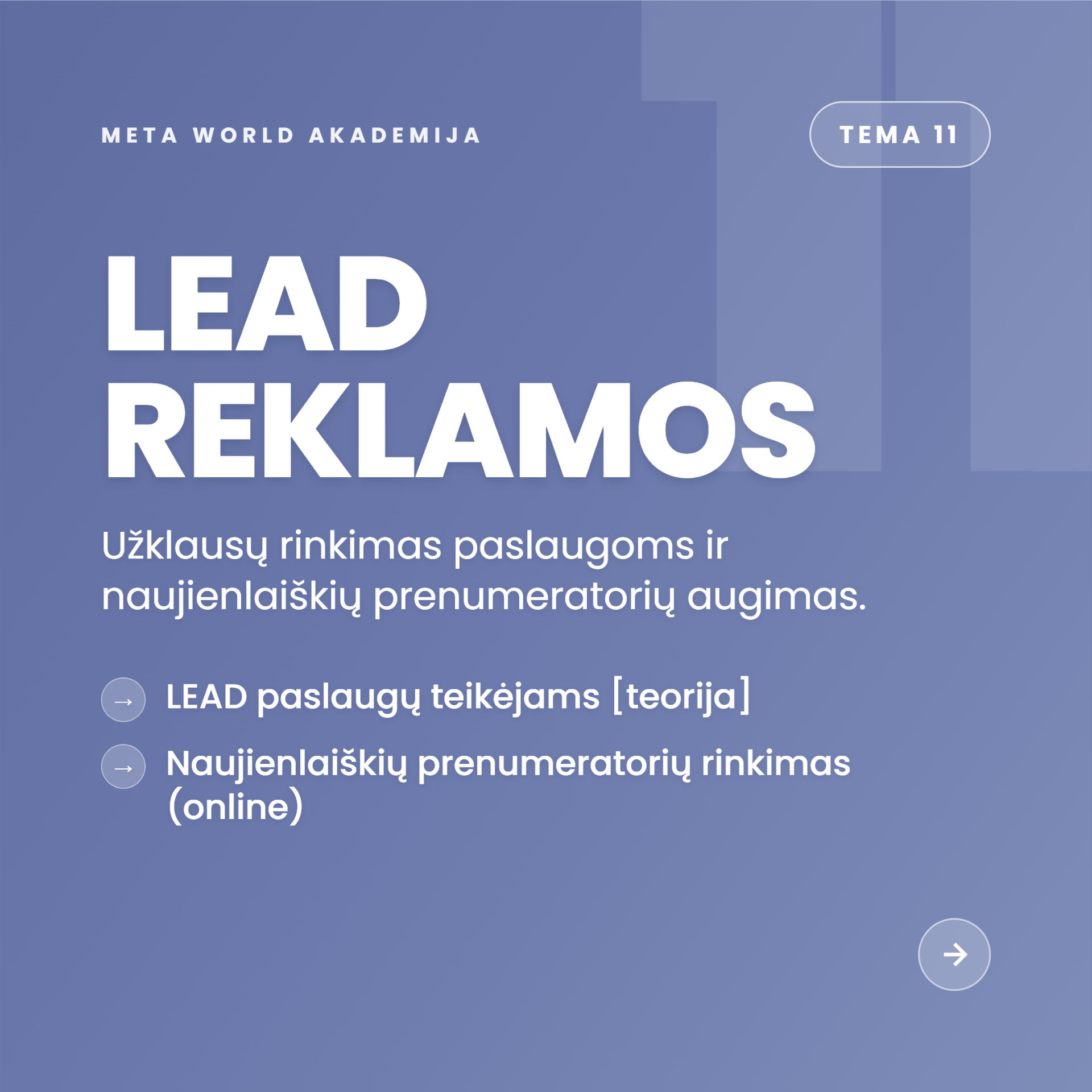Tema 11 — LEAD reklamos: užklausų rinkimas ir naujienlaiškių prenumeratoriai