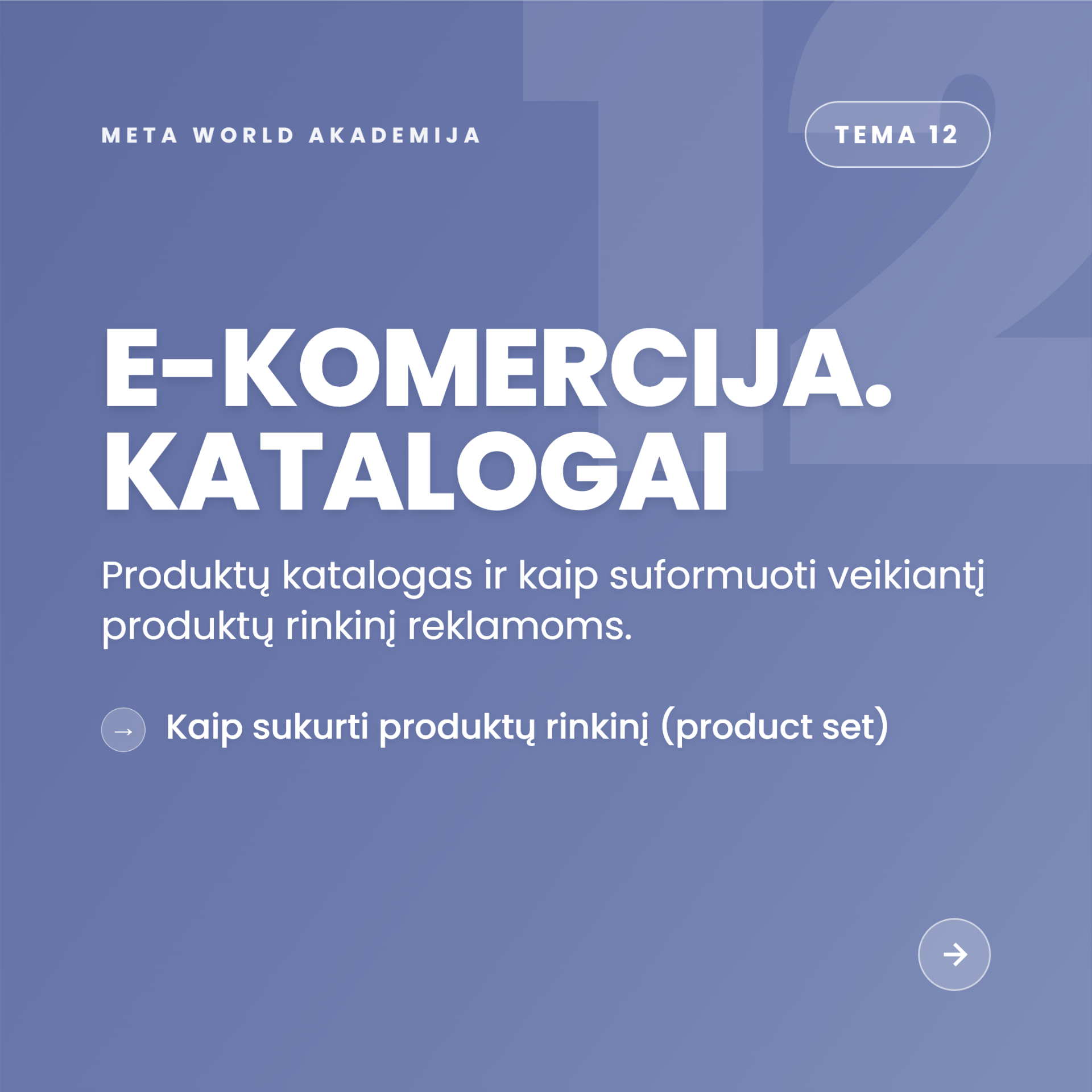 Tema 12 — E-komercija: produktų katalogai ir product set