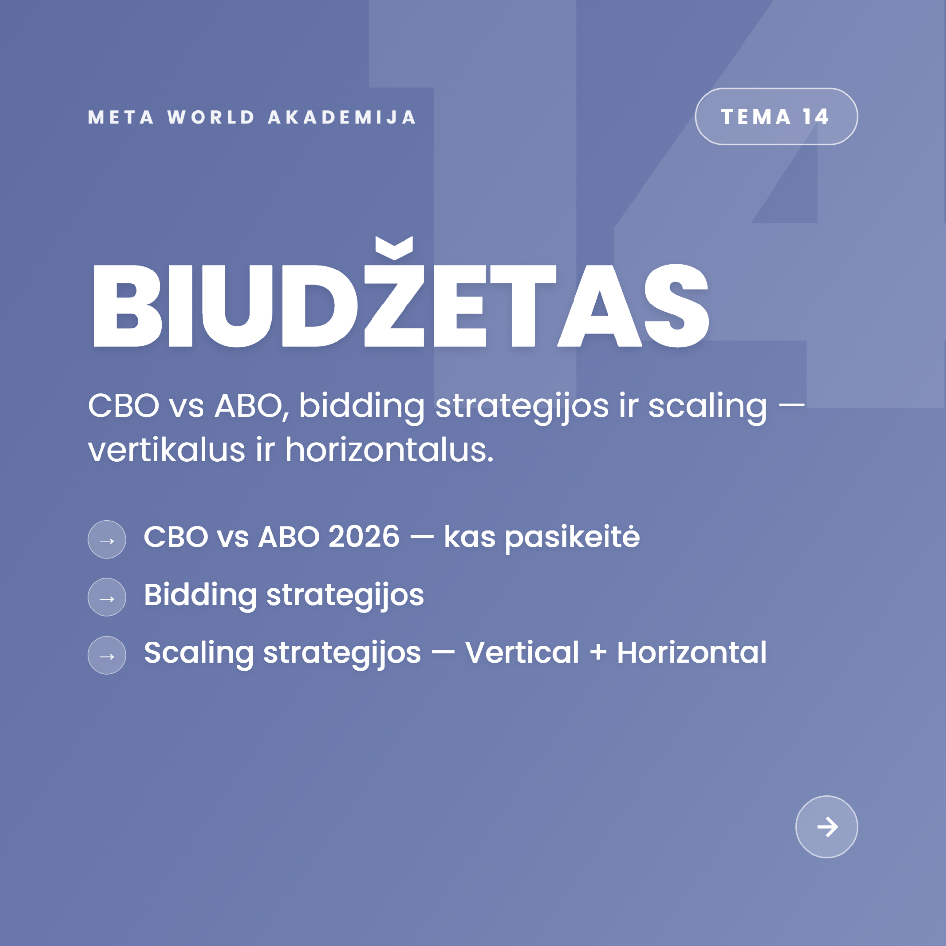 Tema 14 — Biudžetas: CBO vs ABO, bidding ir scaling